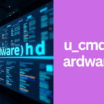 u_cmdb_ci_hardware_hhd